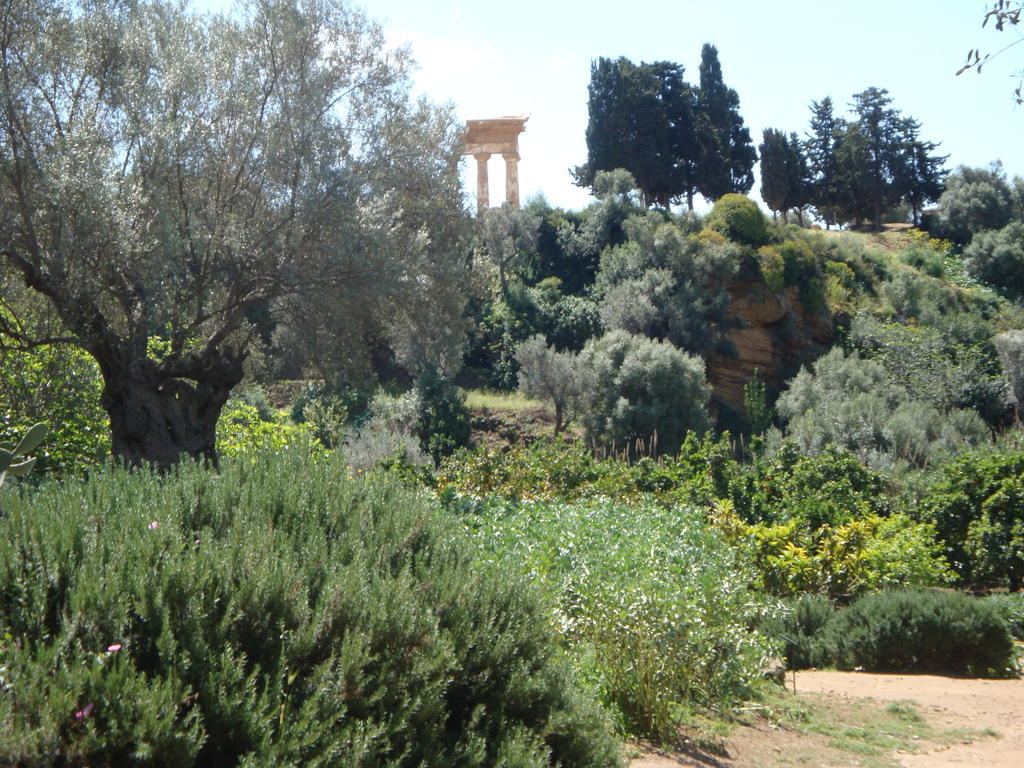 אגריג'נטו Guest House Artemide מראה חיצוני תמונה